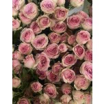 Пионовидные кустовые розы 9
